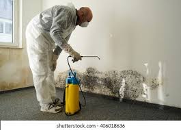 Why You Should Choose Our Mold Remediation Services in Placeholder9